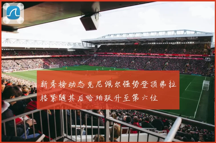新秀榜动态克尼佩尔强势登顶弗拉格紧随其后哈珀跃升至第六位