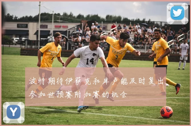 波特期待伊萨克和库卢能及时复出参加世预赛附加赛的机会